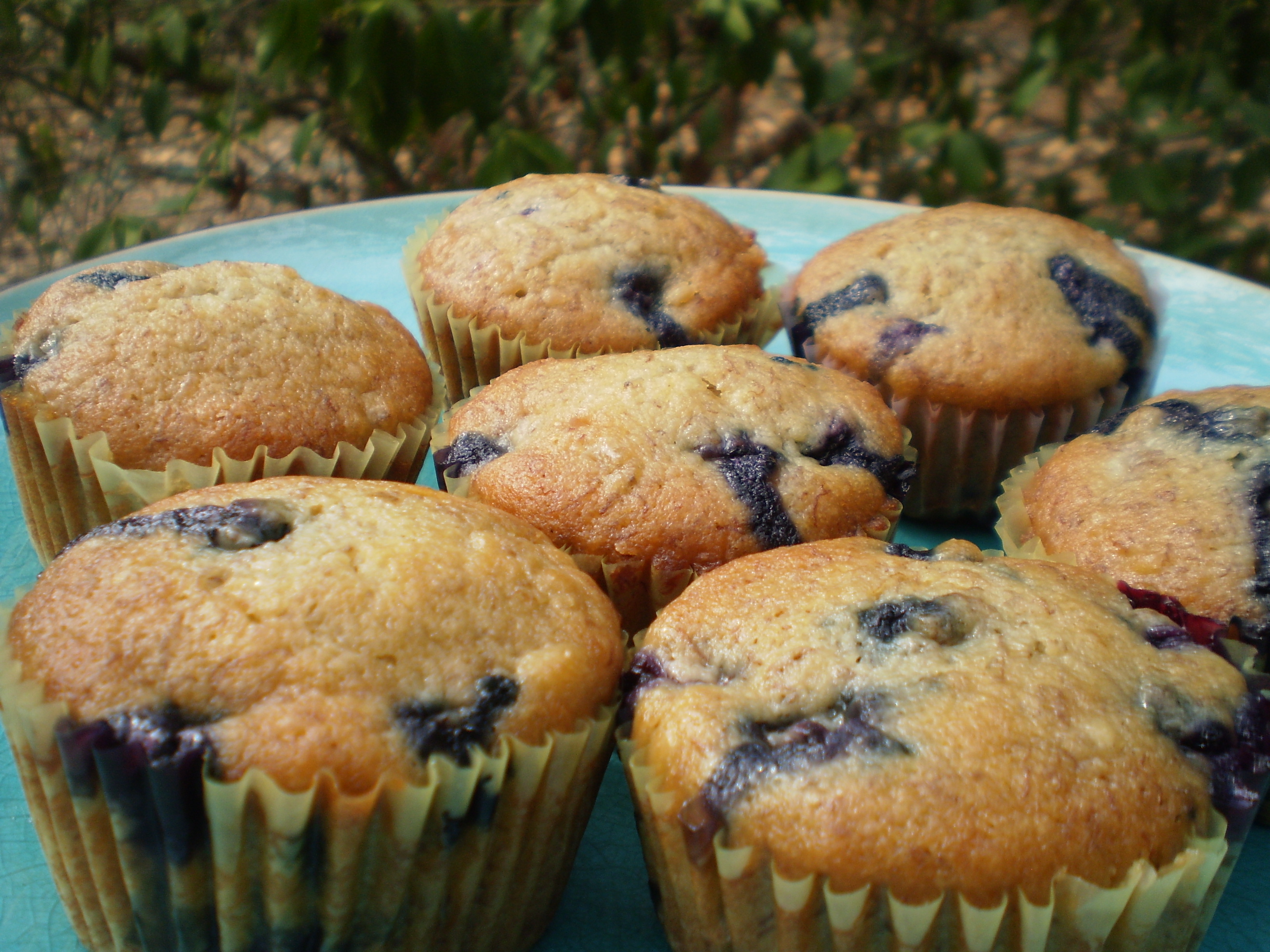 BLUEBERRY BANANA SNACK CAKES