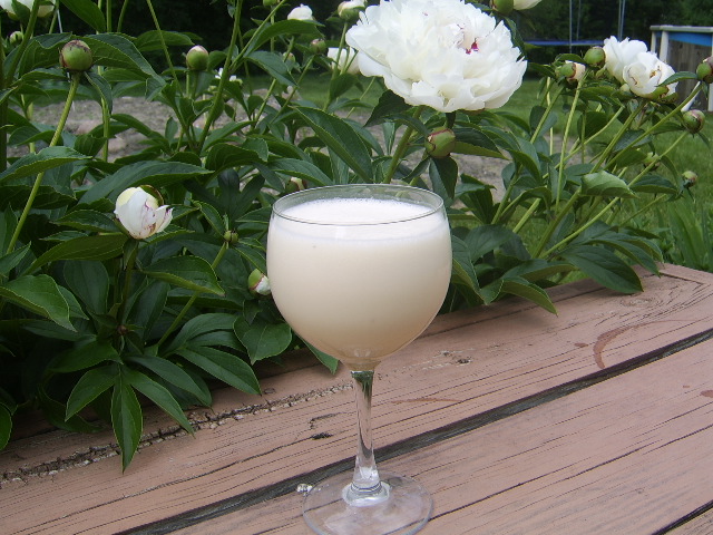 ❤️  AWESOME ORANGE, COCONUT AND BANANA SMOOTHIE