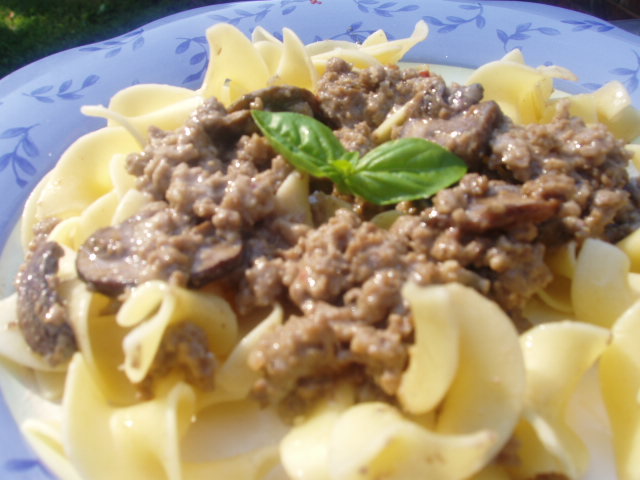 SAVORY GROUND BEEF STROGANOFF