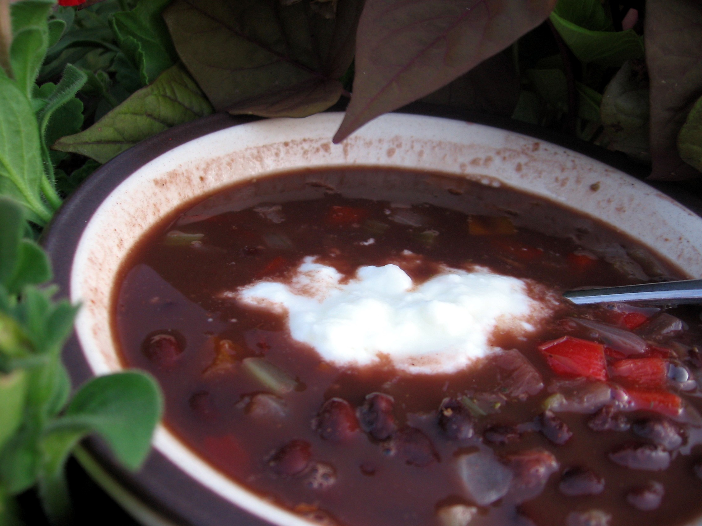 COSTA RICAN BLACK BEAN SOUP