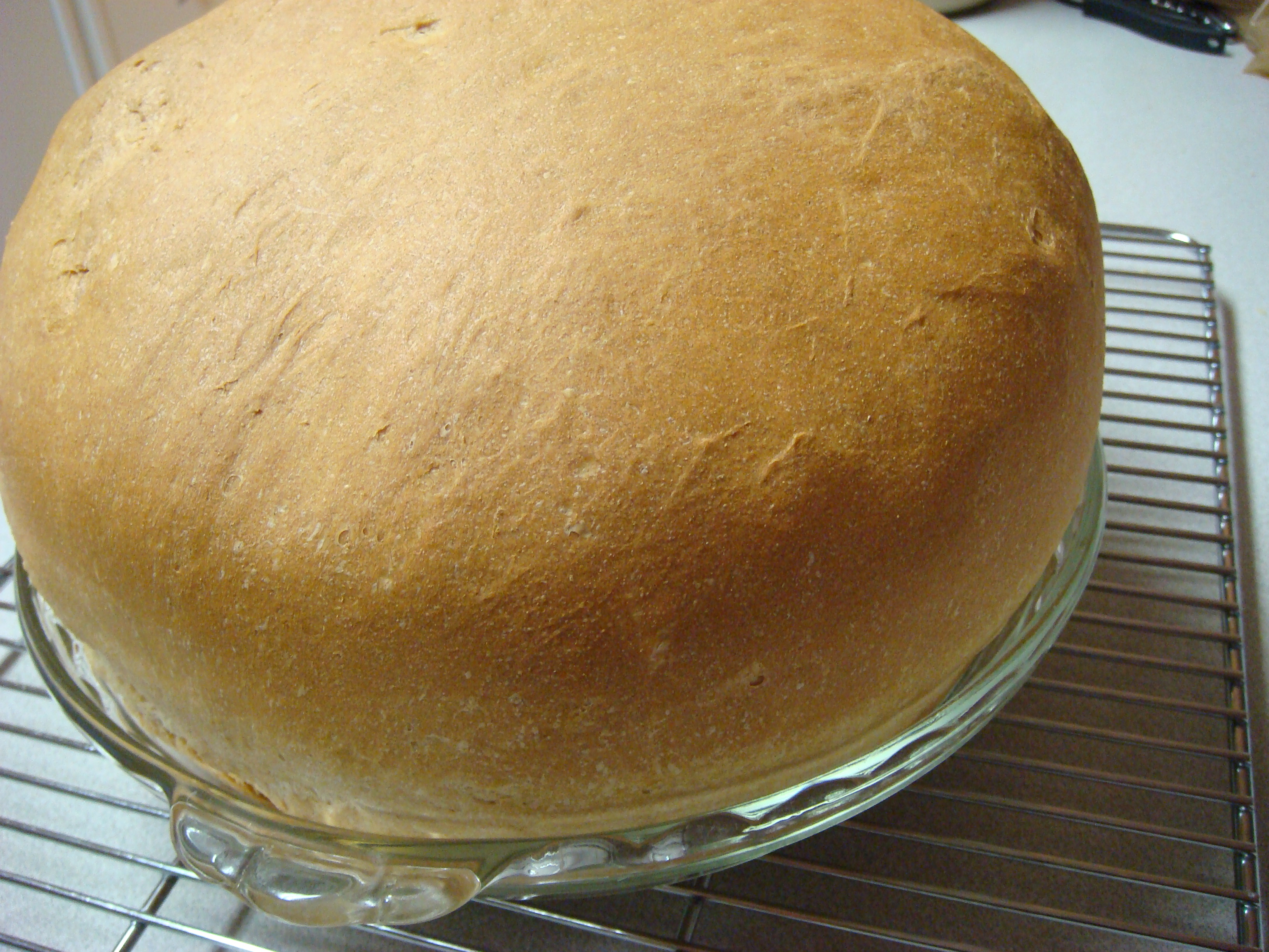 Artisan Dutch Oven Semolina Bread - Lexa's Recipes