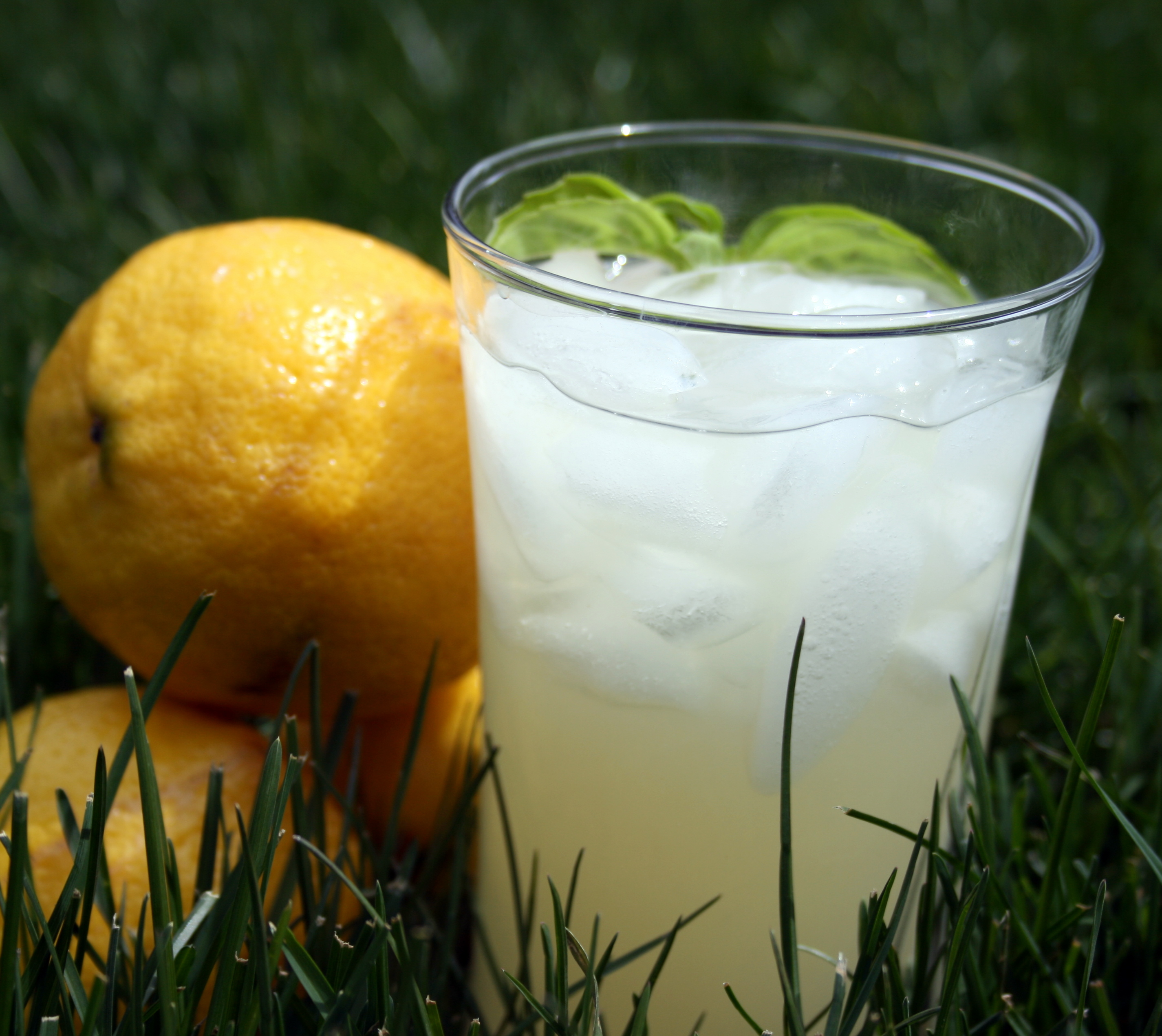 Basil Lemonade