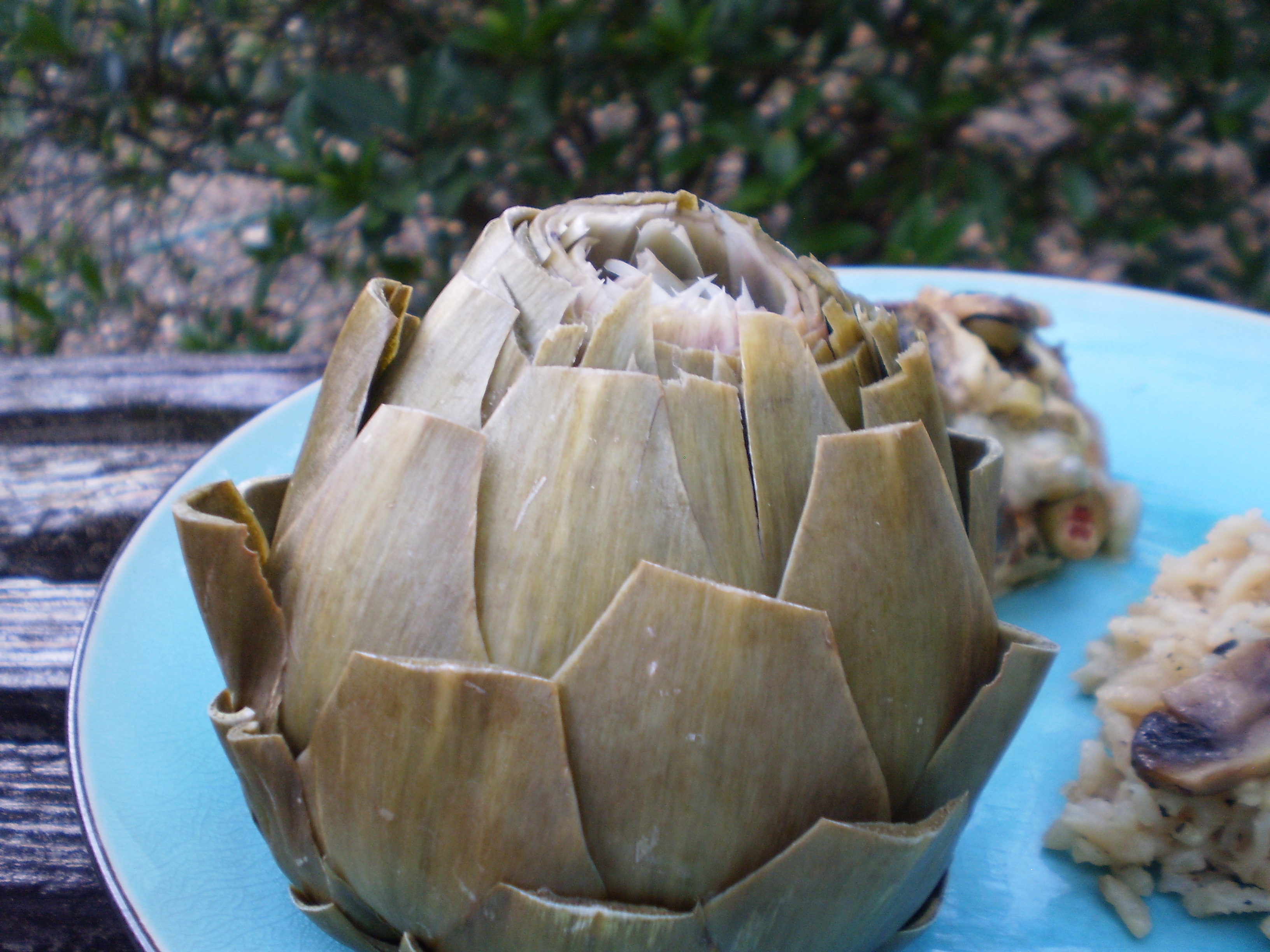 ARTICHOKES STEAMED IN THE MICROWAVE