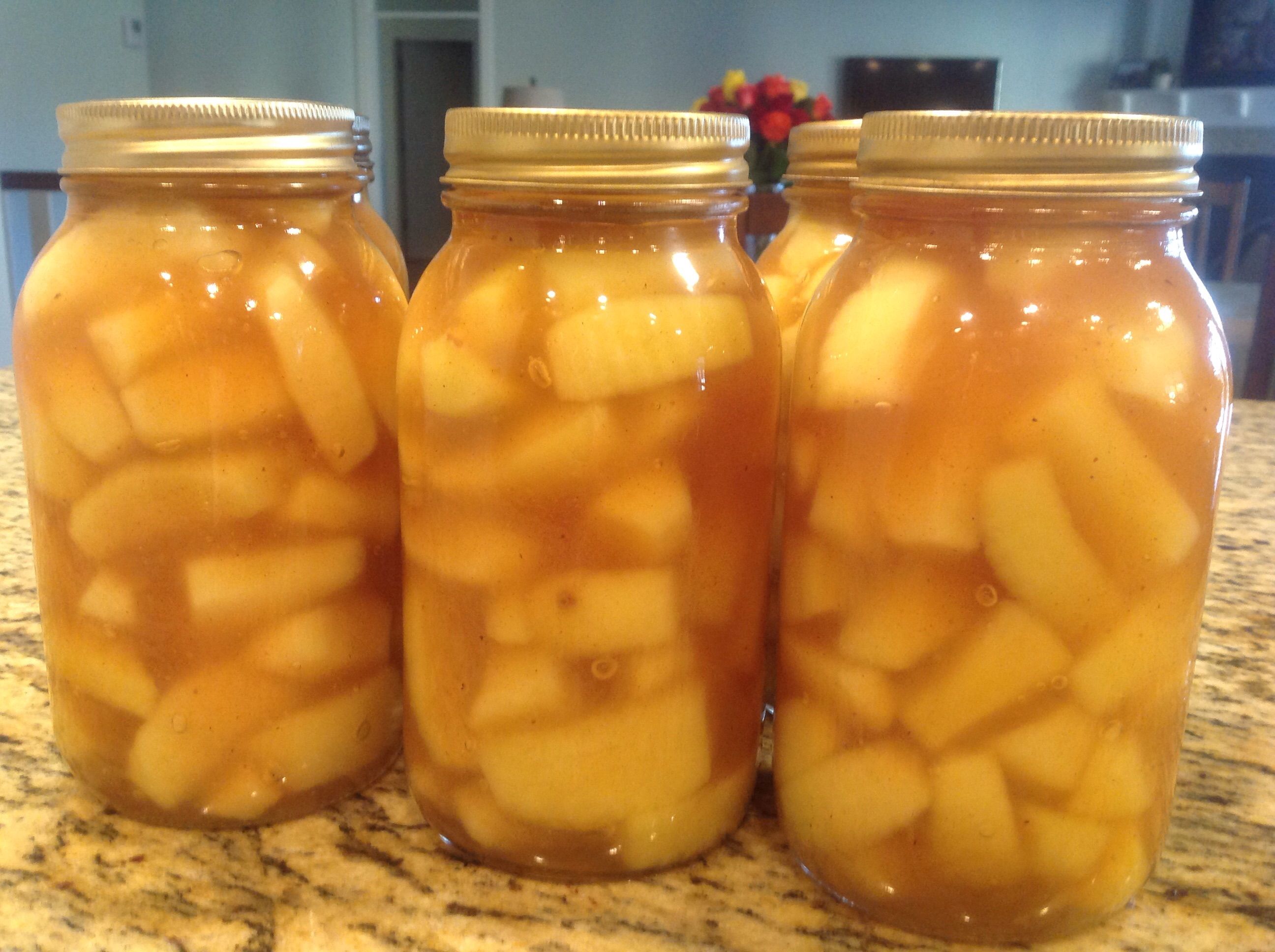 APPLE PIE FILLING - CANNED OR YOU CAN FREEZE IT!