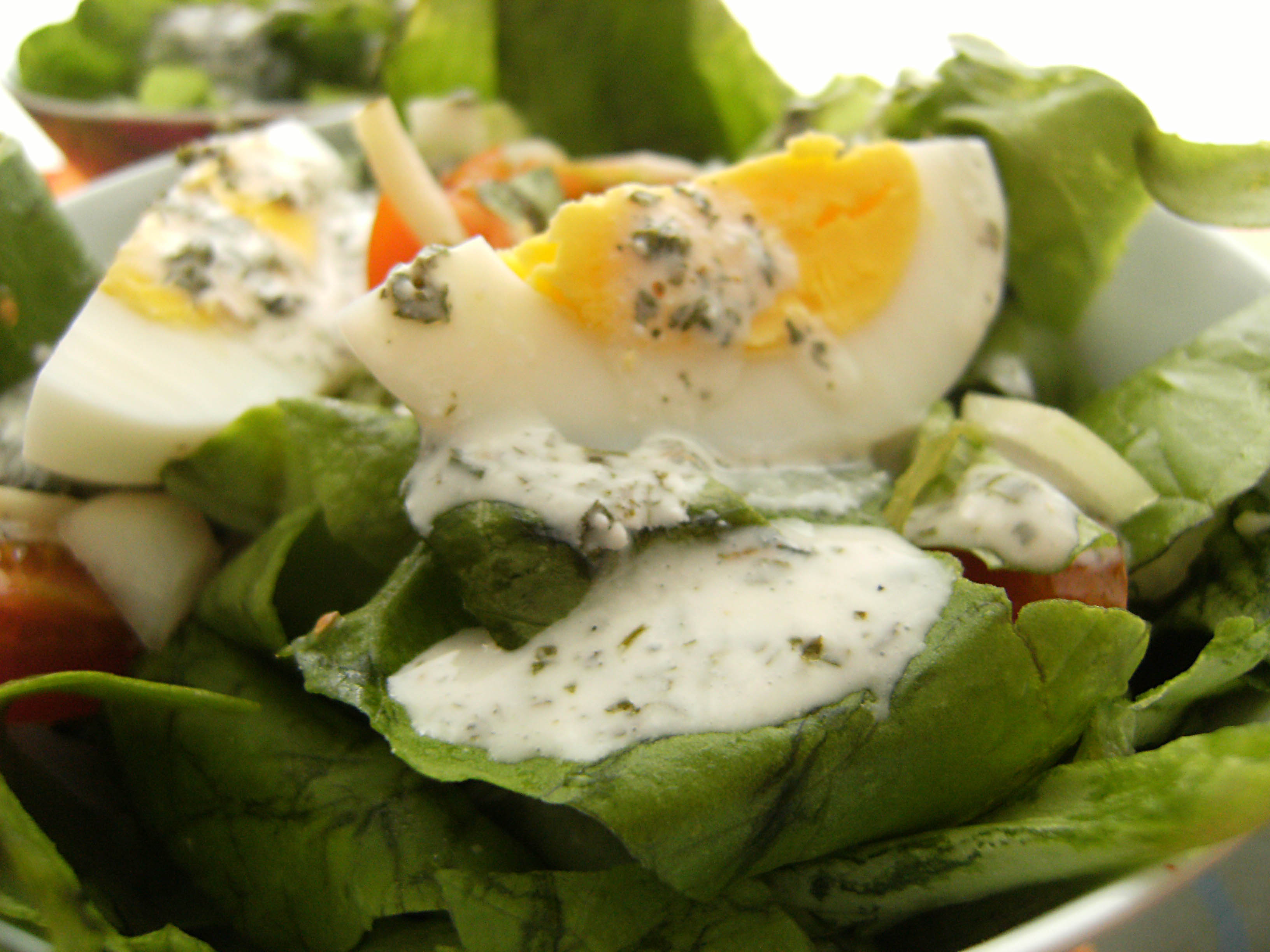 LOADED SALAD WITH YOGURT DRESSING