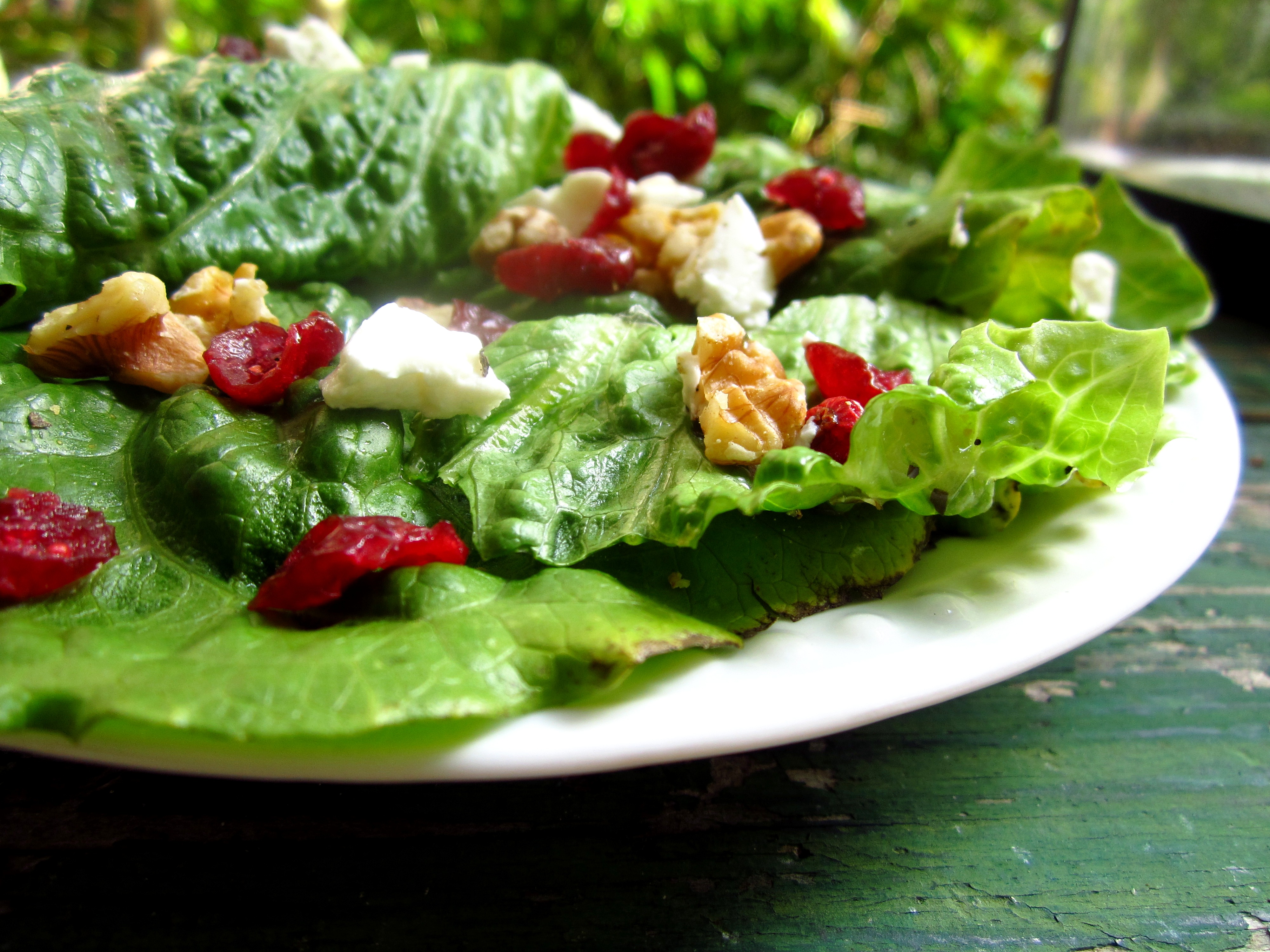 SPRING MIX WITH WALNUTS, CRANBERRIES AND GOAT CHEESE