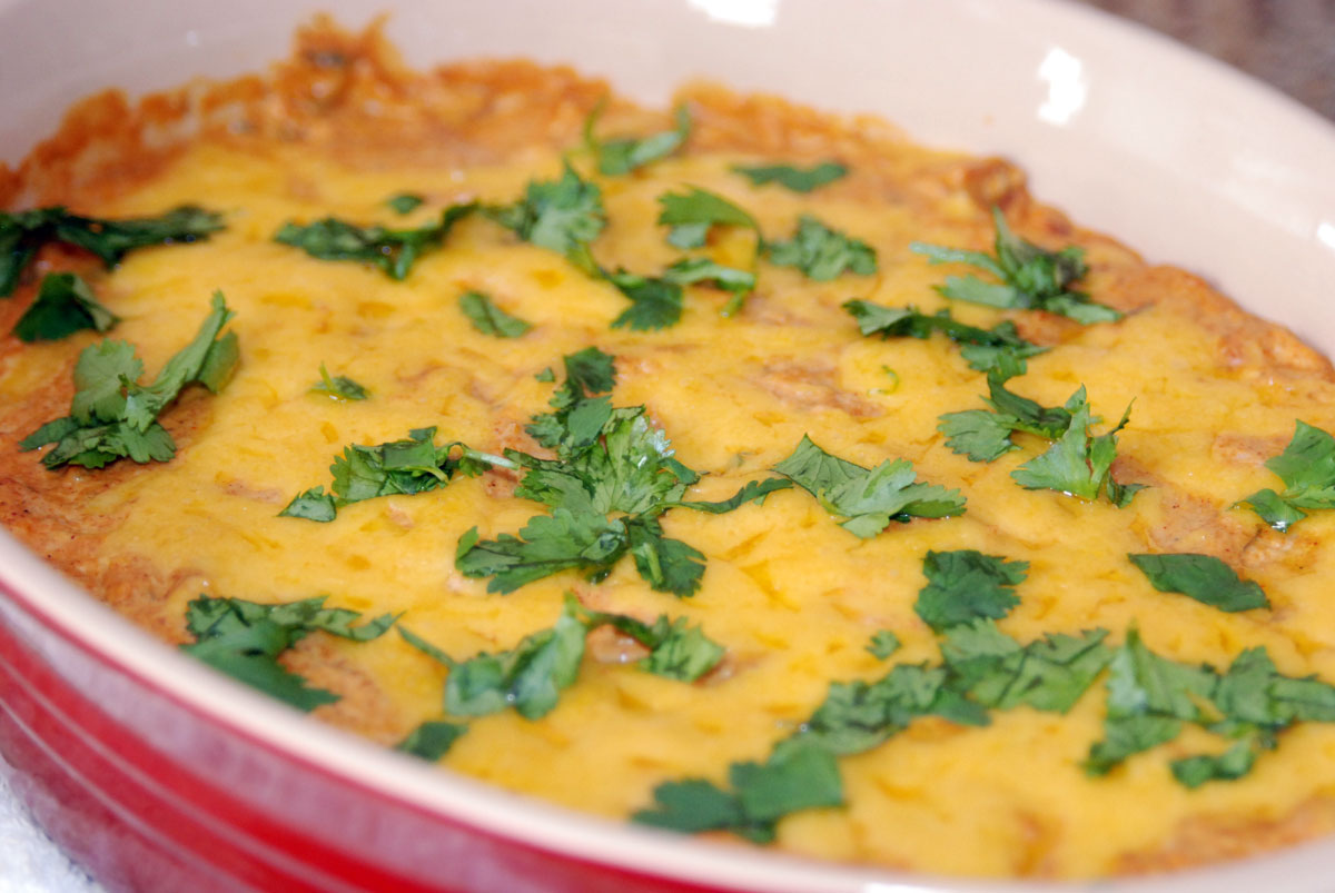 Chicken Enchilada Dip Recipe Food Com