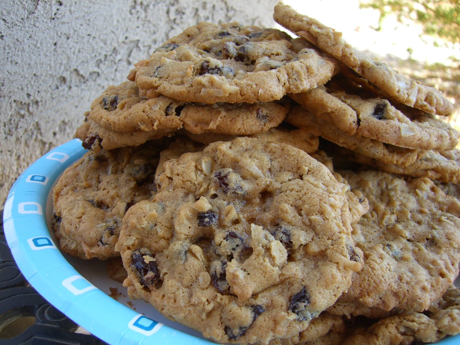 COCONUT OATMEAL RAISIN COOKIES