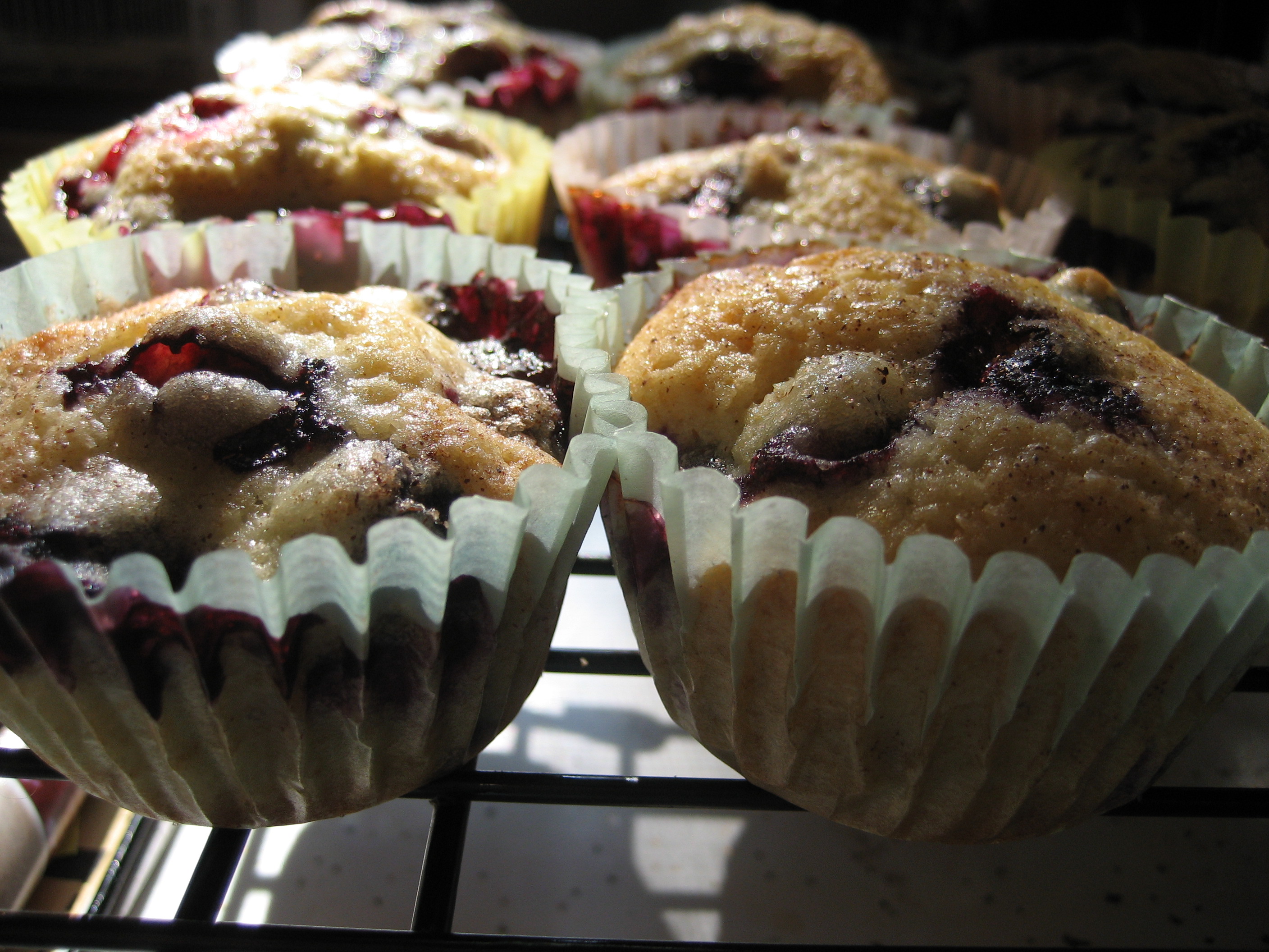 BLUEBERRY MUFFINS