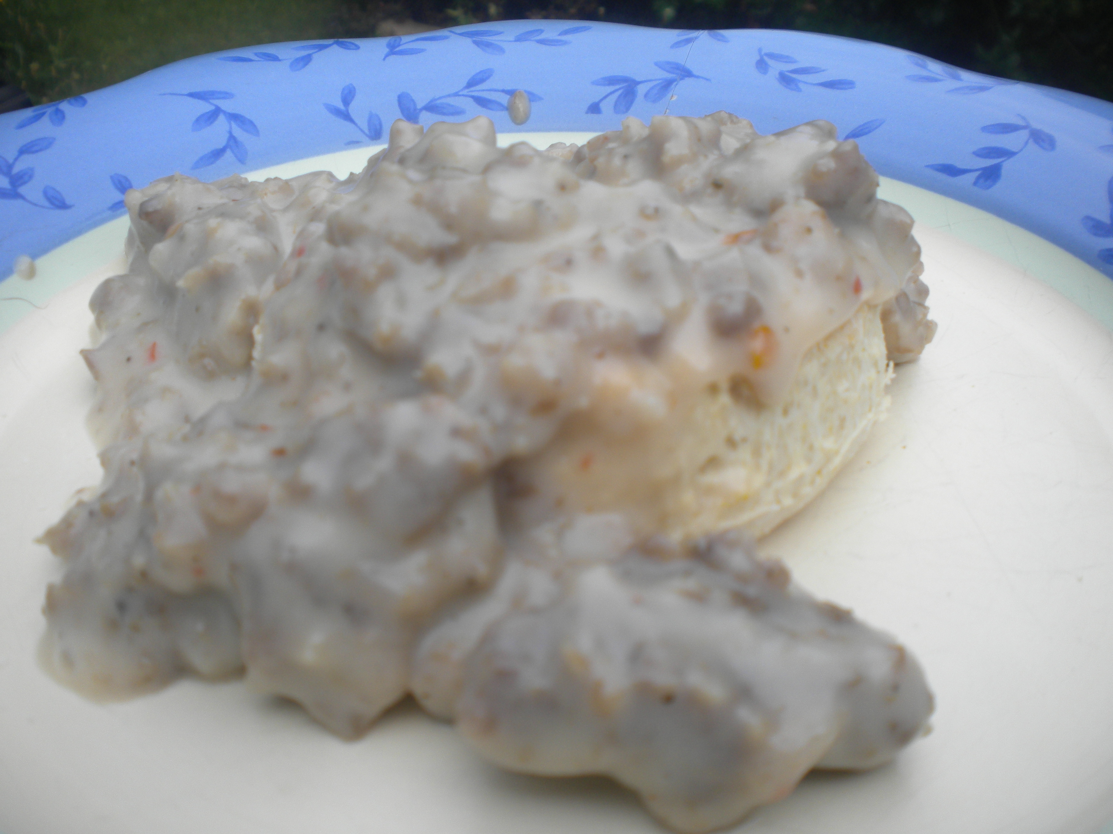 BISCUITS AND SAUSAGE GRAVY II