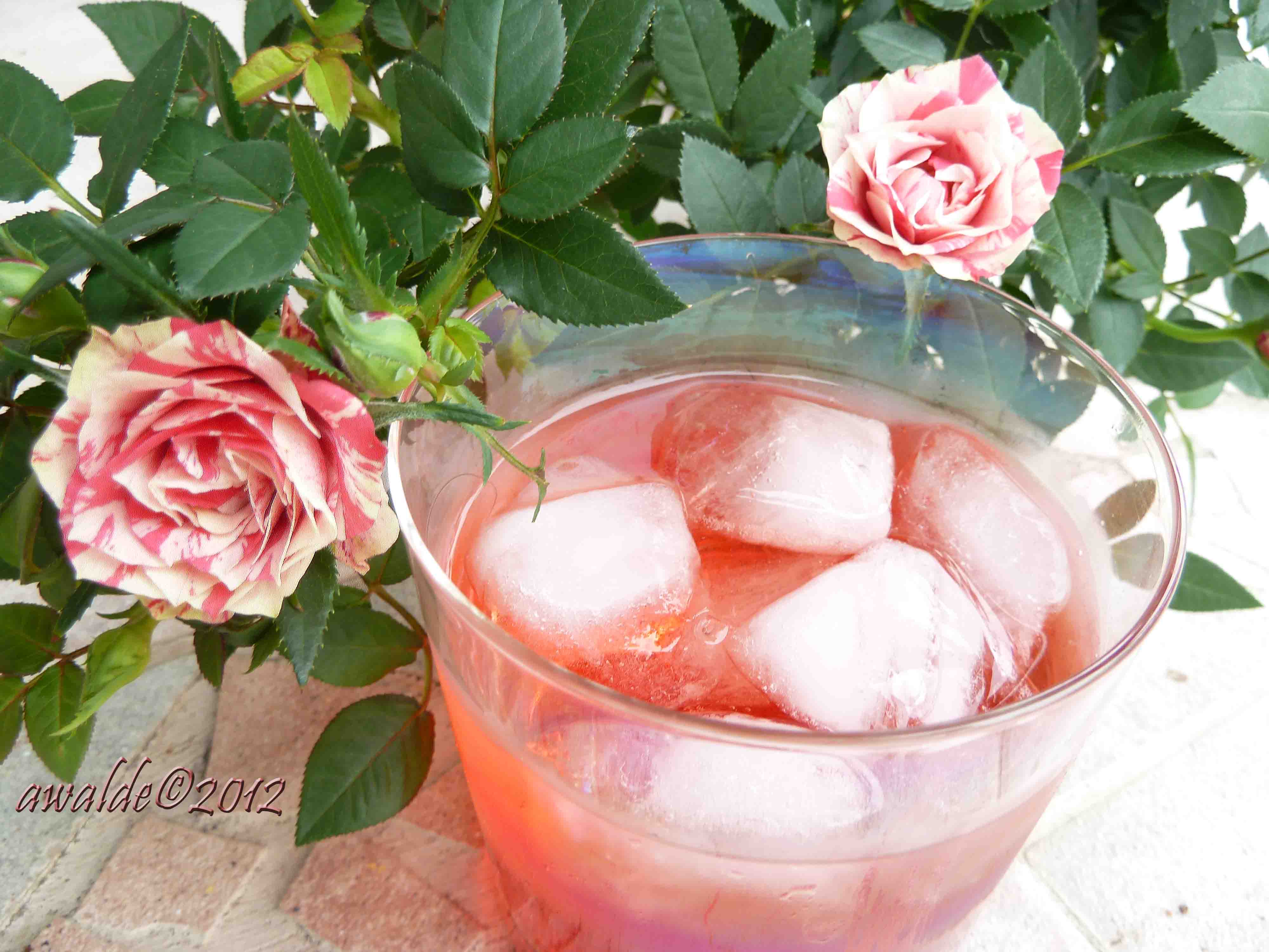 LEBANESE ROSE DRINK (SHARAB WARD)