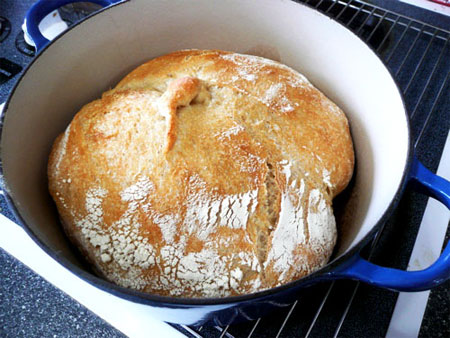 Crusty Bread in a Dutch Oven - ZoëBakes