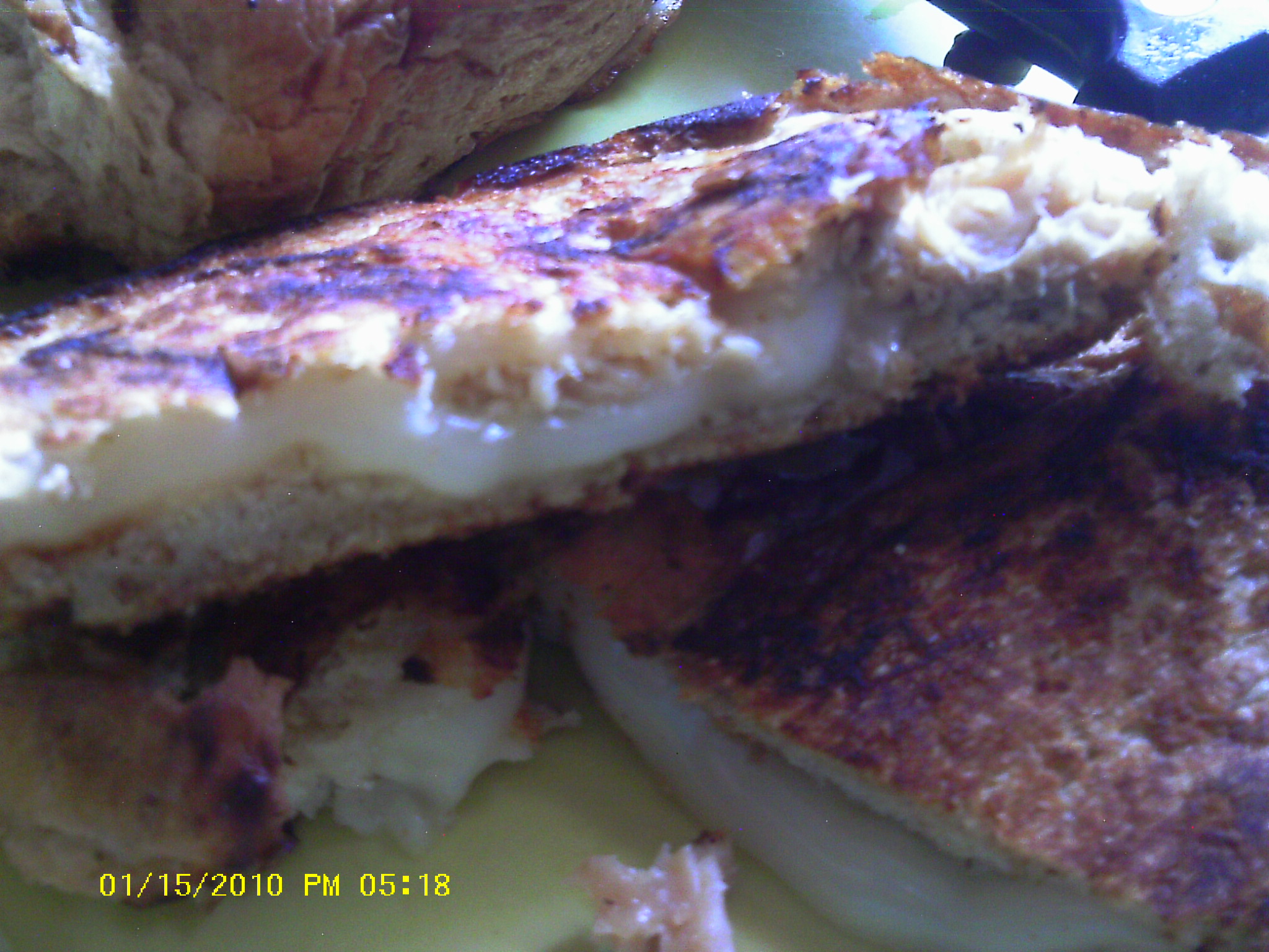 Tuna and Gruyere Panini, image size:2048x1536