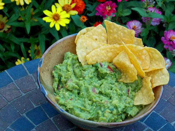 GUACAMOLE