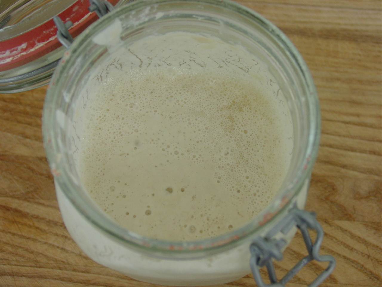 SOURDOUGH STARTER