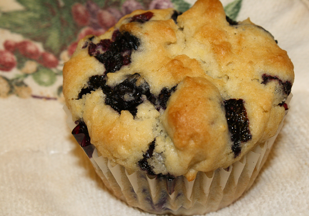 NO BRAINER NEVER-FAIL BLUEBERRY MUFFINS