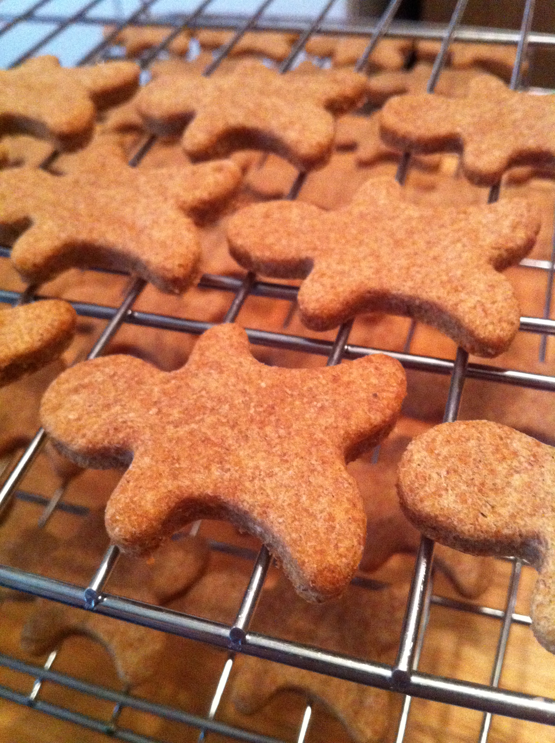 Martha stewart dog biscuits hotsell