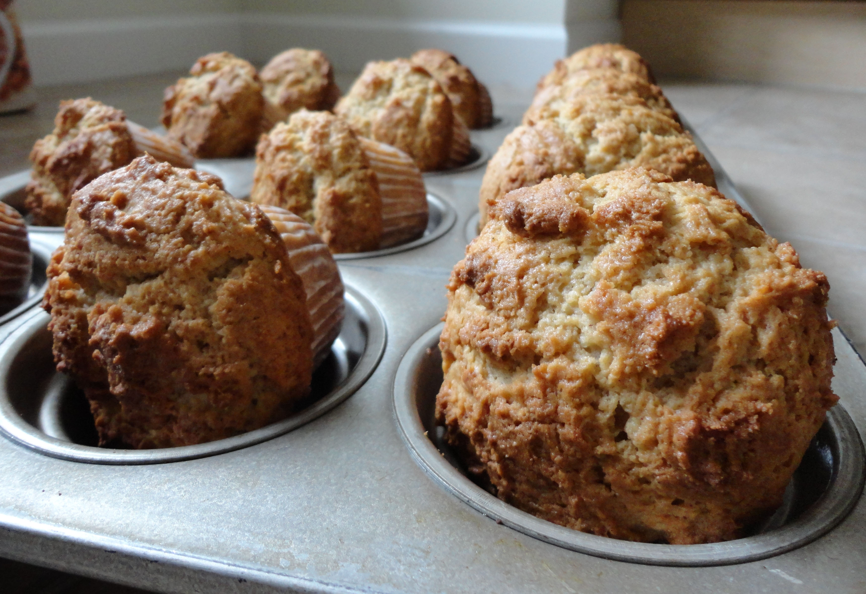 Toasted Oat and Prune Breakfast Muffins Recipe