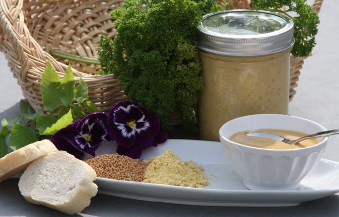 DELICIOUS HOMEMADE DIJON MUSTARD