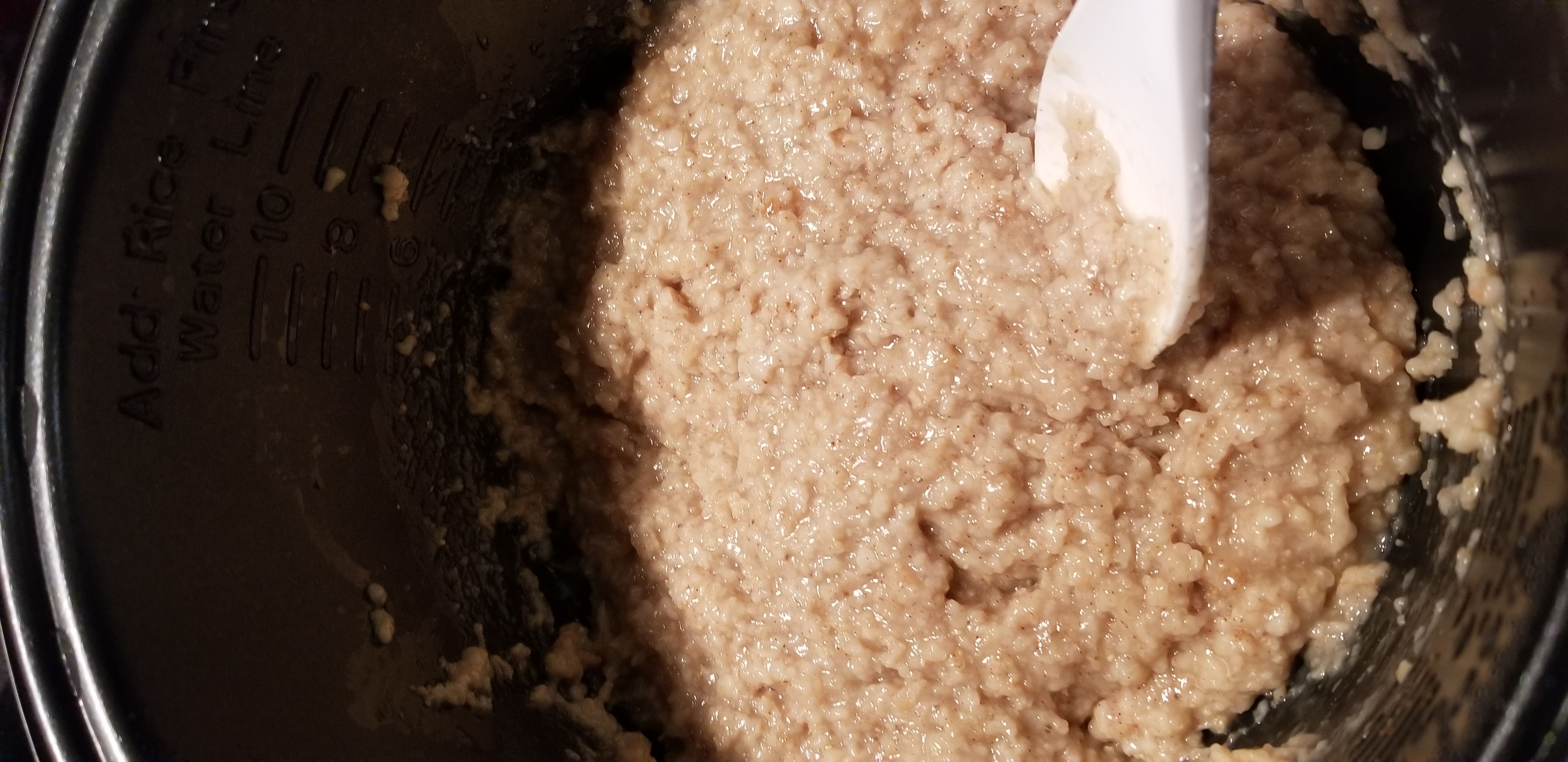 OATMEAL COOKED IN A RICE COOKER