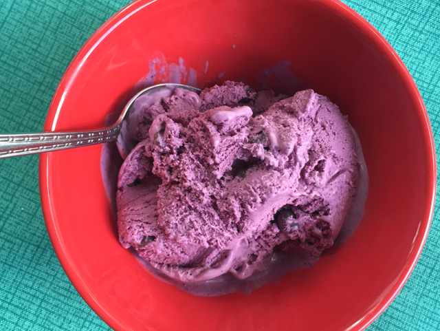 BLUEBERRY ICE CREAM