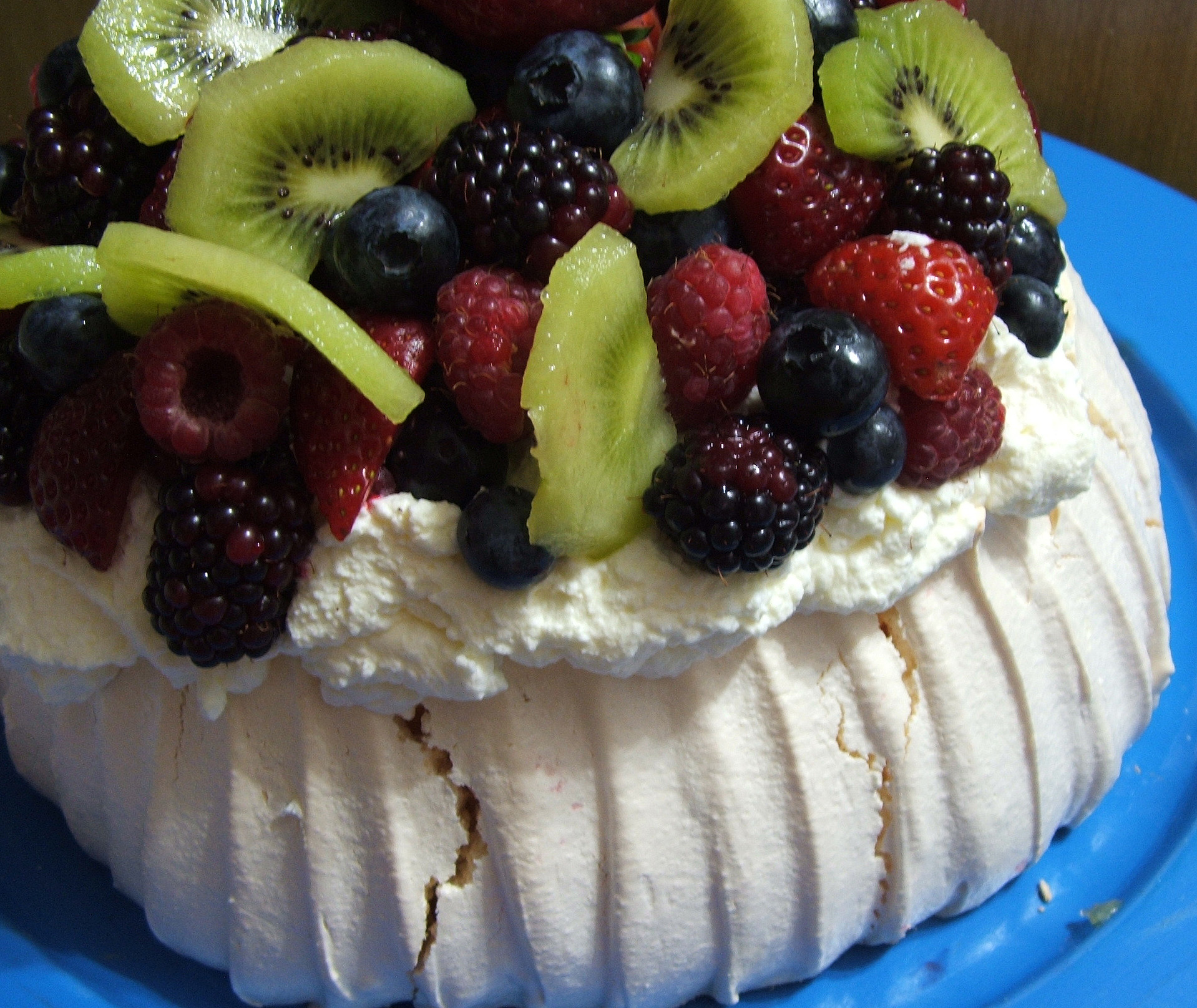 PAVLOVA