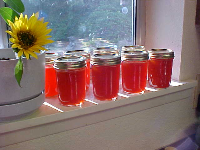 HOT AS HELL HABANERO ZUCCHINI JELLY