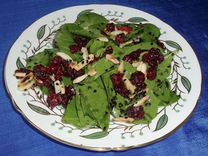 CRANBERRY SPINACH SALAD CRANBERRY SPINACH SALAD