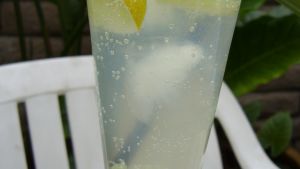 Malibu Mango Mojito Recipe Food Com