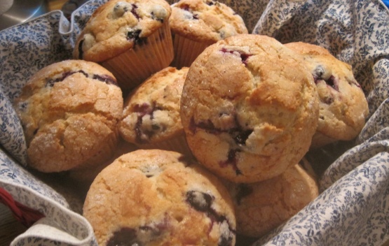 Jordan Marsh Blueberry Muffins [www.food.com]