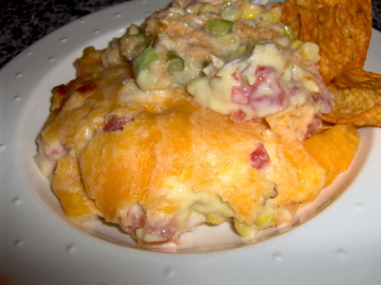 Dorito Casserole,with Chicken Recipe - Genius Kitchen