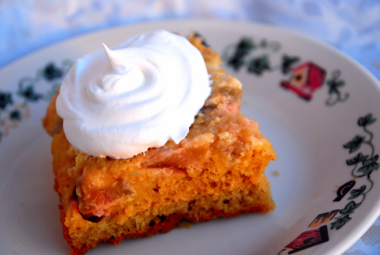 Rhubarb Custard Cake