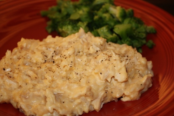 creamy chicken and rice