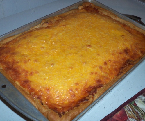 Chicken Egg Pie