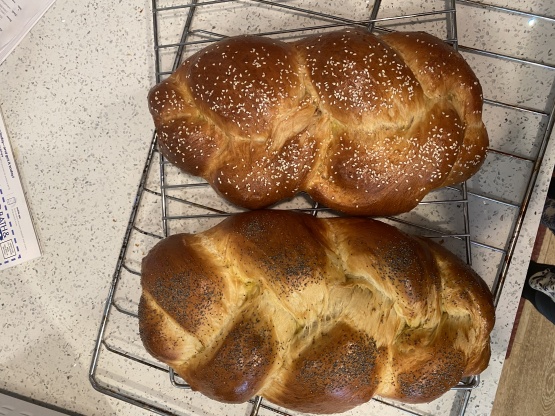The Best Bread Machine Challah Recipe - Food.com
