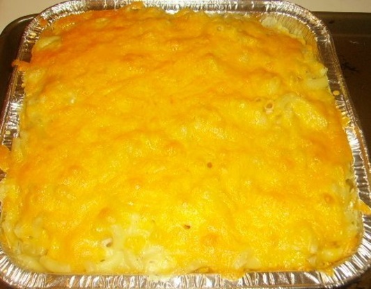 best macaroni and cheese best macaroni and cheese