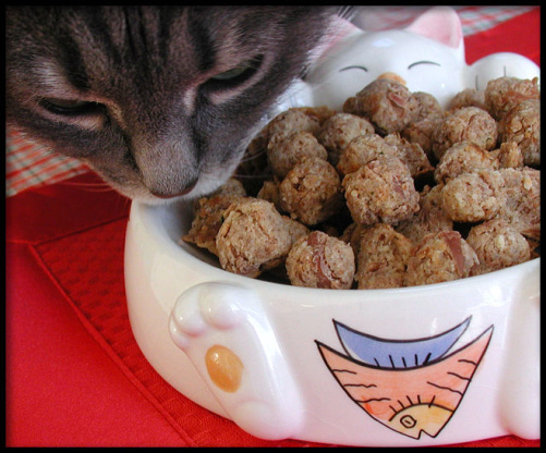 Tabby Tuna Cakes For Kitty Recipe Food Com