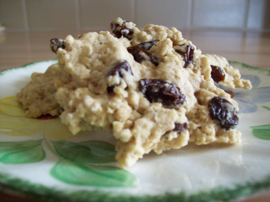 Diabetic Oatmeal-Raisin Cookies Recipe - Genius Kitchen