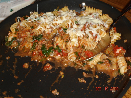 Ground Beef and Spinach Pasta Bake Recipe - Food.com
