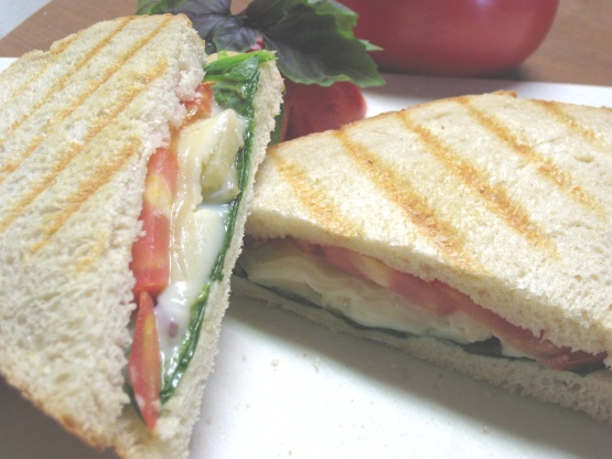 50 Panini : Recipes and Cooking : Food Network, Recipes, Dinners and Easy  Meal Ideas