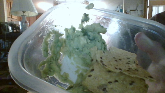 Mucho Bueno Guacamole