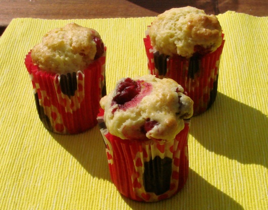 Orange-Cranberry Muffins For Diabetics Recipe - Genius Kitchen