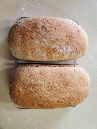 Whole Grain Wheat Bread Recipe - Food.com