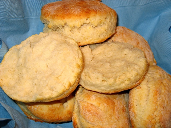 Low Cholesterol Biscuits Recipe Genius Kitchen low-cholesterol-biscuits-recipe-genius-kitchen