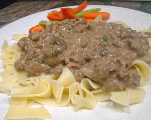 Easy Beef Stroganoff - Ground Beef Version Recipe - Genius Kitchen