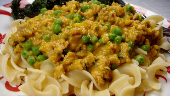 Ground Turkey With Creamy Squash Sauce