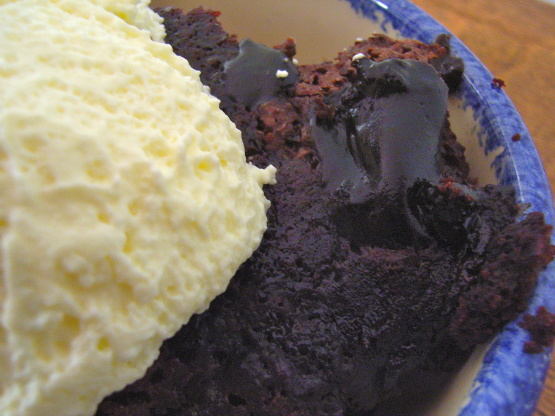 Easy Chocolate Sauce Cake Recipe - Low-cholesterol.Food.com