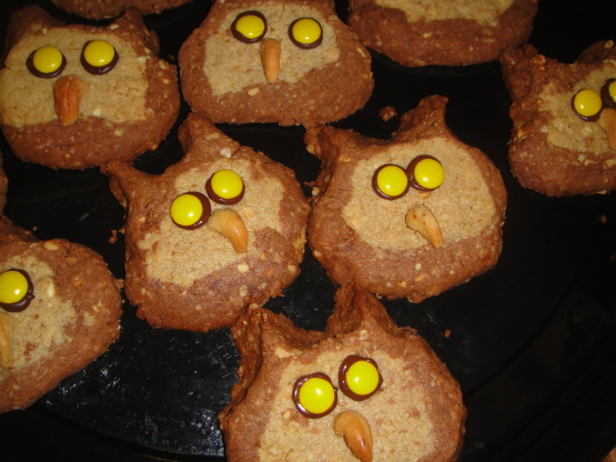 Sarah's Owl Cookies Recipe - Food.com