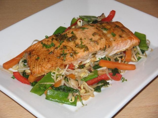 Baked Seasoned Salmon Recipe - Genius Kitchen