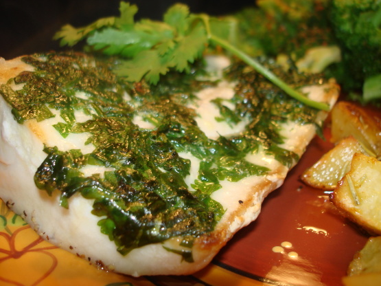 Cilantro Crusted Mahi Mahi Recipe  - Food.com
